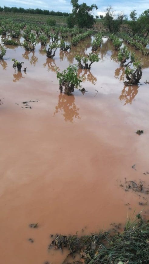 tempestades hectarees