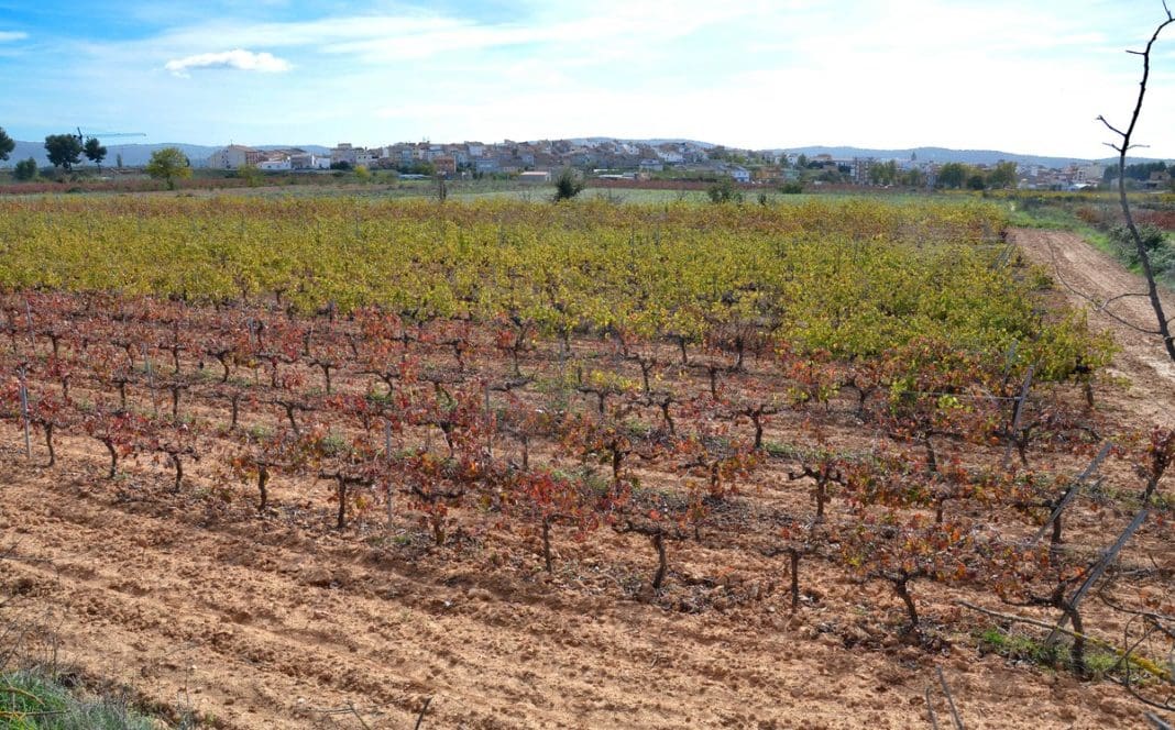 ayudas formación agricultura