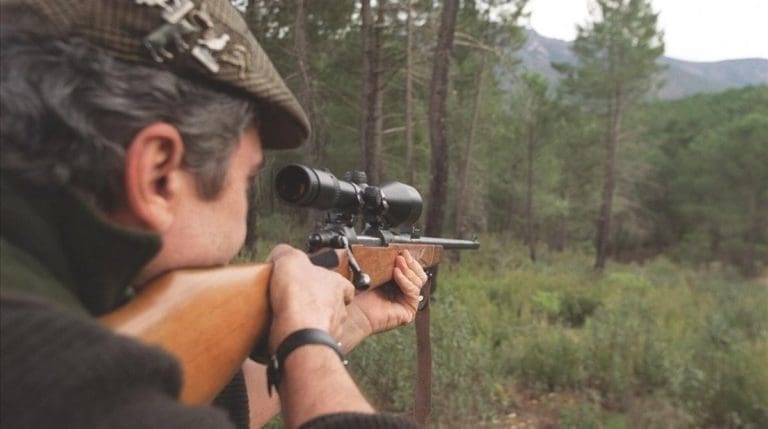 Avanza la normativa que regula la caza y control del jabalí en Comunitat Valenciana