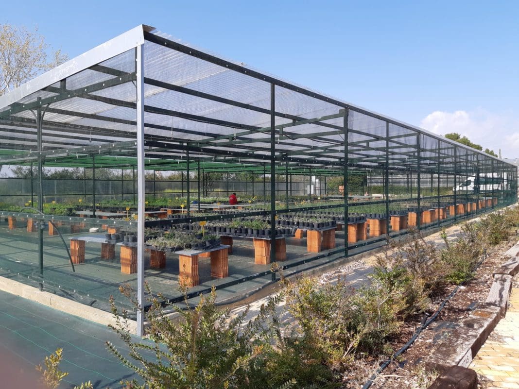 Hivernacle Vívers El Saler