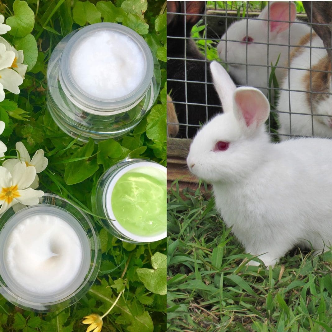 Cosmética Cruelty Free, no testada en animales