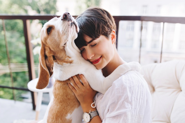 retrato de niña complacida con cabello castaño corto abrazando perro beagle divertido con los ojos cerrados