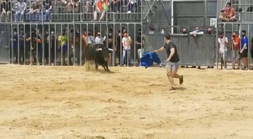 Imagen del primer día de Bous al Carrer en Meliana