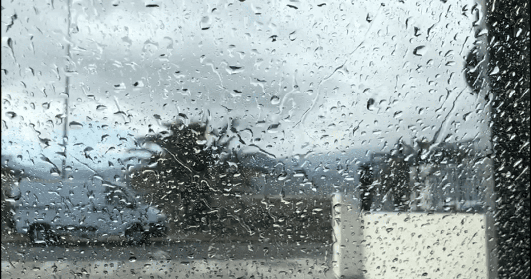 alerta Diario de Alicante