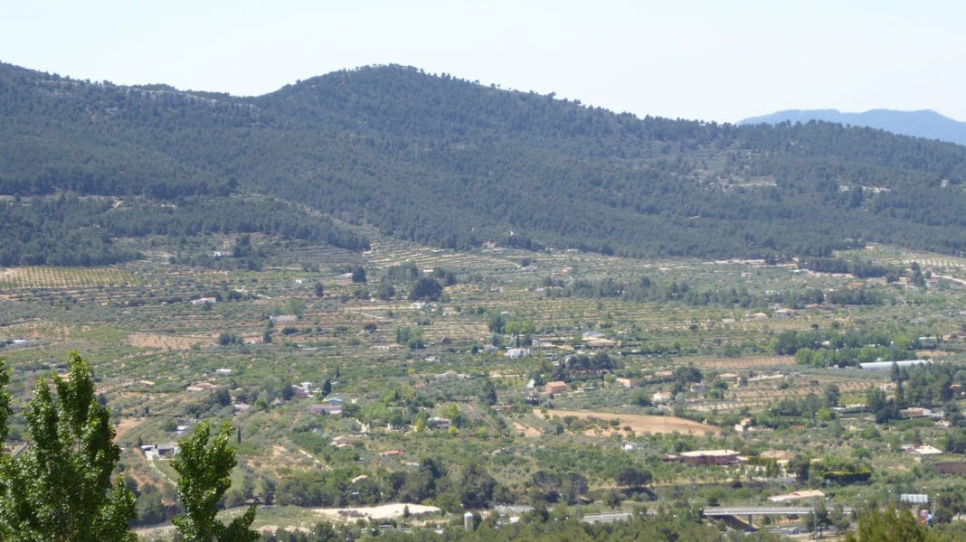 Catastral Diario de Alicante