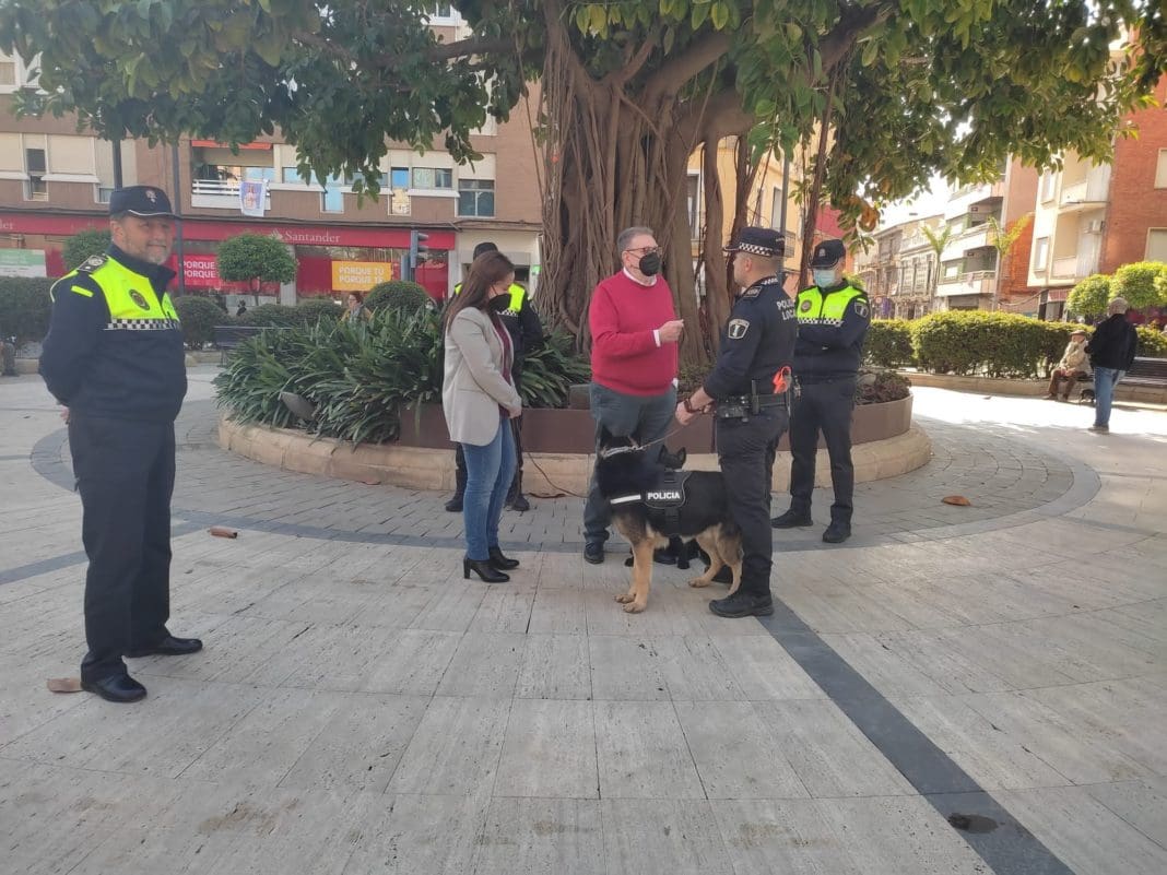 Perros policía Torrent