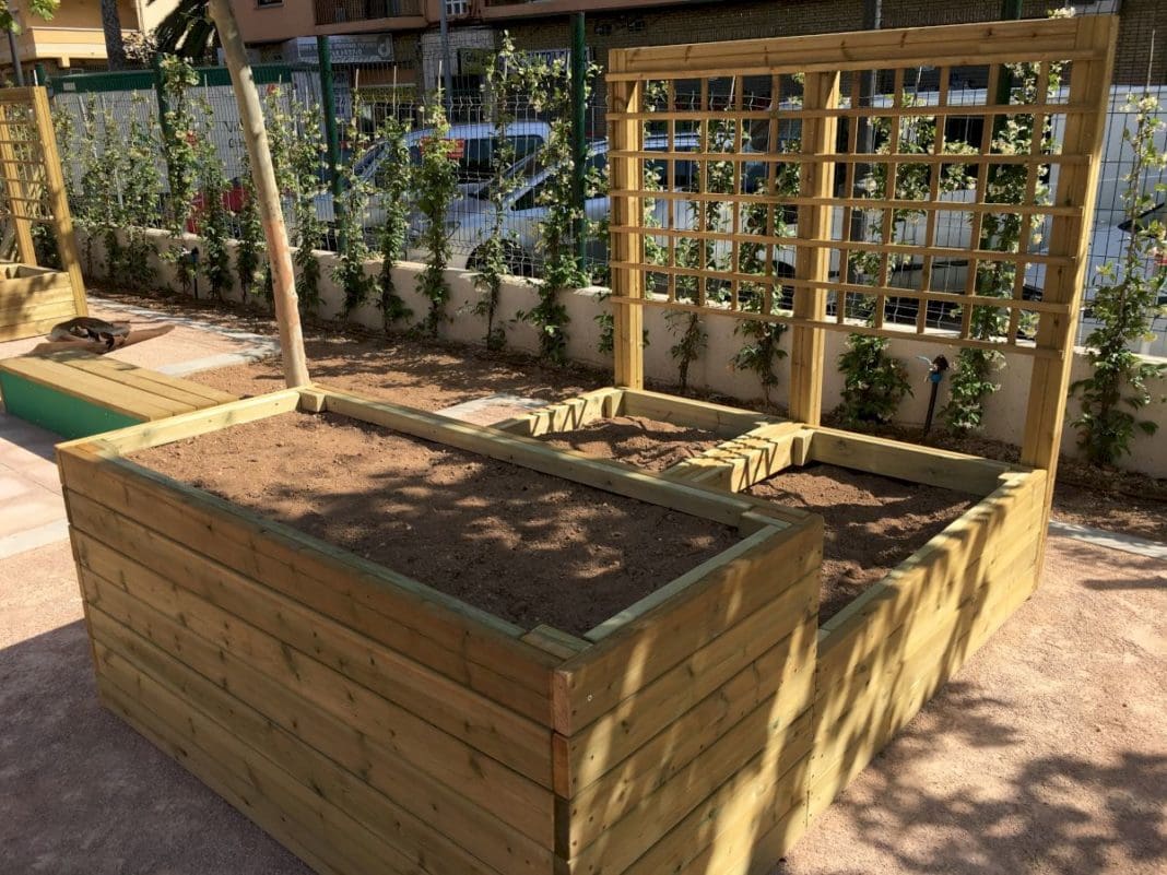 agroecologismo en los colegios de Valencia