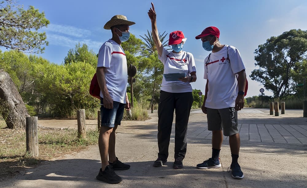 Un grupo de voluntarios en la Devesa-Albufera