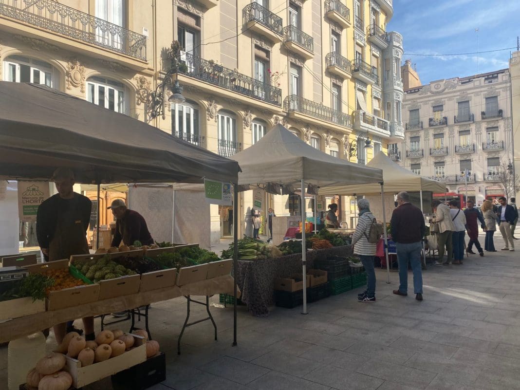 Mercadillo productos agrícolas Colón/ VSM