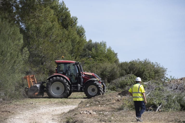La Generalitat aprueba 7,9 millones en subvenciones directas para actuaciones locales en prevención de incendios