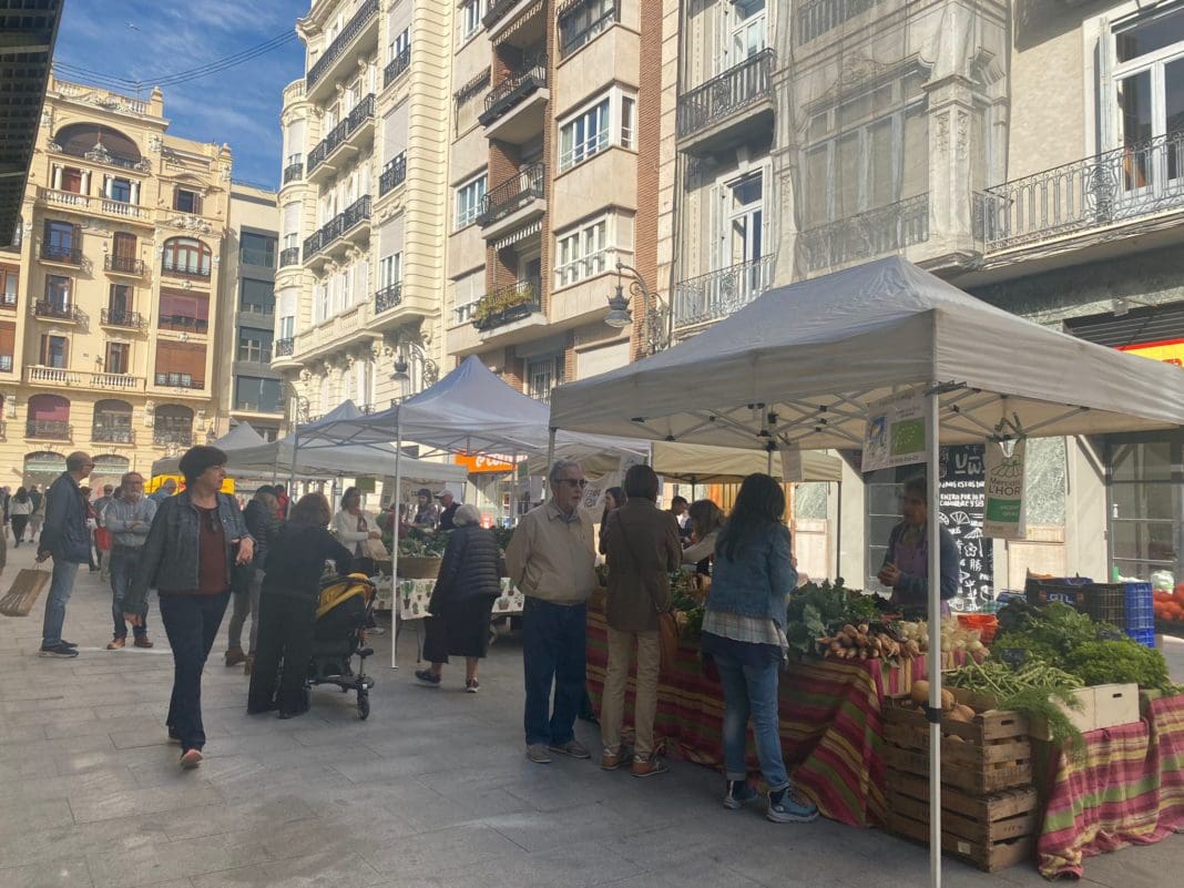 Mercadillo de productos agrícolas en Colón/ VSM