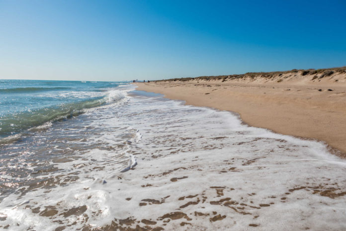 Playa del SalerPlaya del Saler/ Comunitat Valenciana