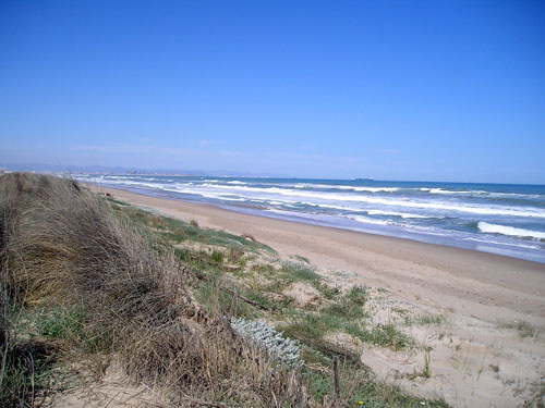 Playa de la Devesa de El Saler, una de las implicadas en las obras/ MITECO