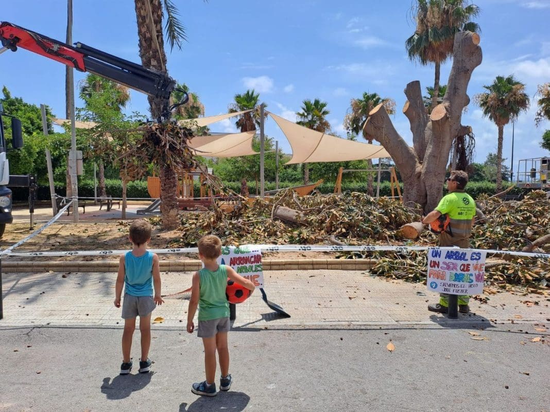 Imagen cedida por la Salvem las Melias