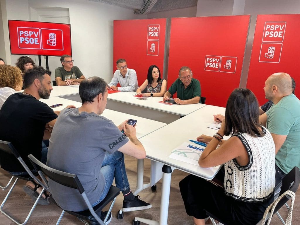 El PSPV exige explicaciones por el cese de 300 técnicos antes de ...