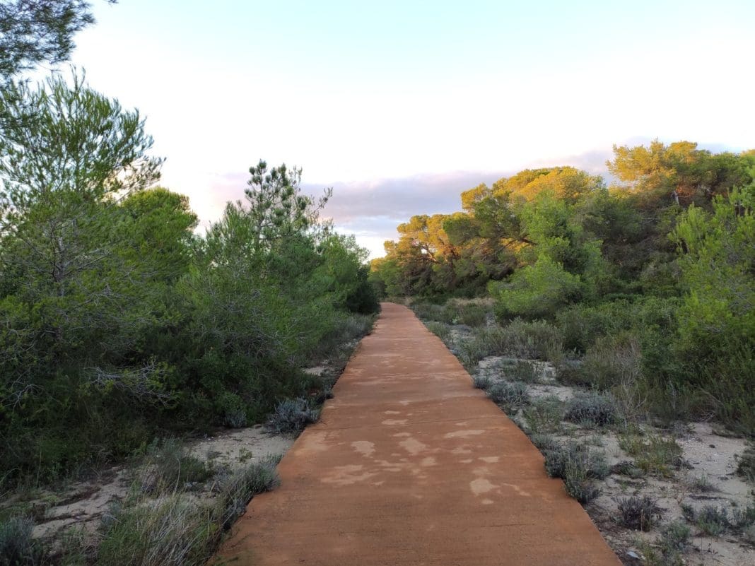 La Devesa del Saler/ AlbuferaInfo