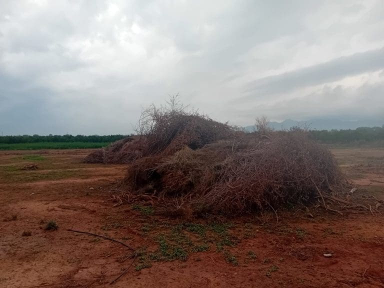 Desaconsejan el uso del fuego para la eliminación de restos agrícolas por el elevado riesgo de incendios
