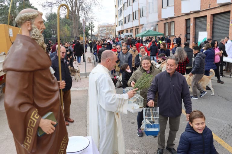 Los Festeros de Sant Antoni Abat de Torrent se preparan para las tradicionales celebraciones en honor al santo