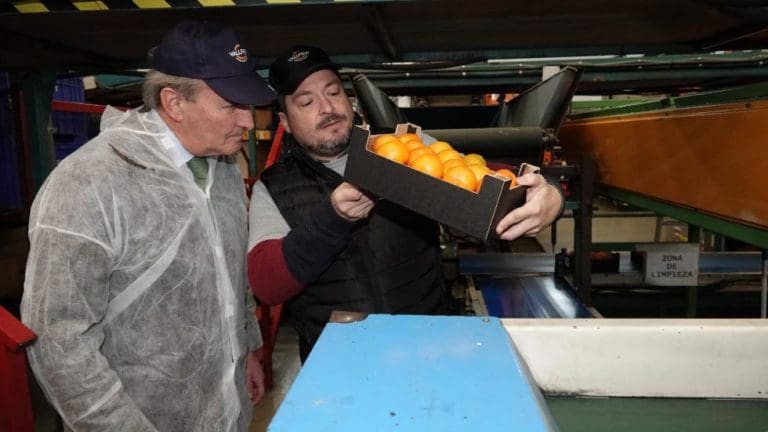 El conseller de Agricultura defiende la recuperación de parcelas agrarias abandonadas y hacerlas rentables