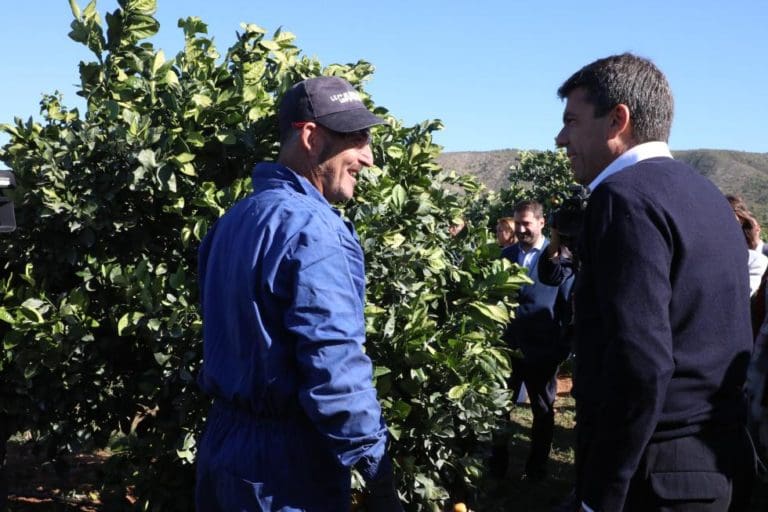 Mazón viajará a Fruit Logística Berlín para promocionar y defender al sector hortofrutícola de la Comunitat