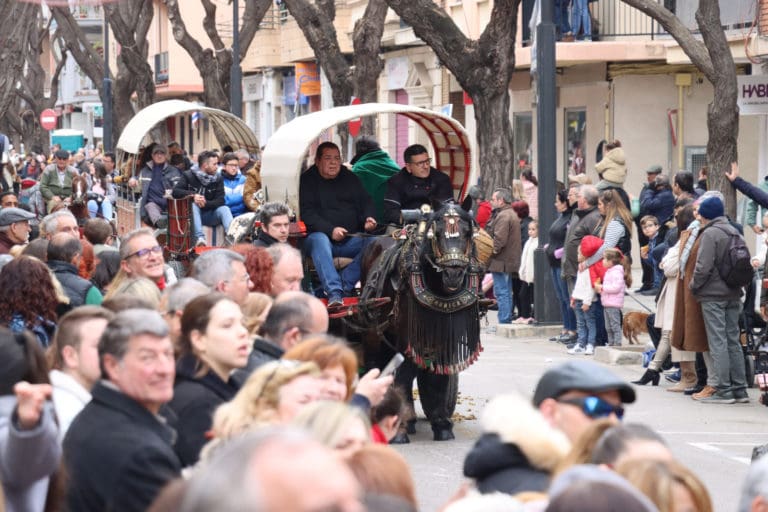 Torrent se prepara para la bendición de animales de este domingo