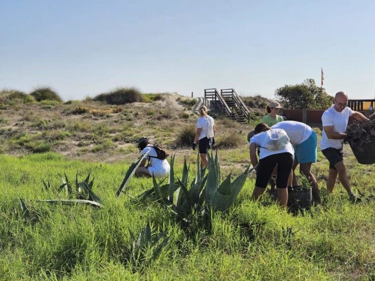 Más de 42.000 personas visitan los entornos naturales de la Comunitat en la campaña ‘Pasqua als Parcs’