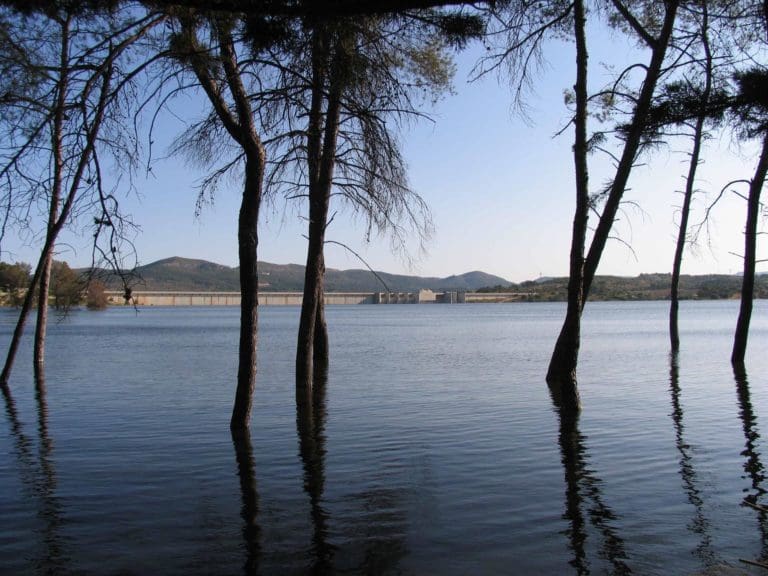 Declarado un incendio forestal en Guadasèquies, con el foco próximo al embalse de Bellús