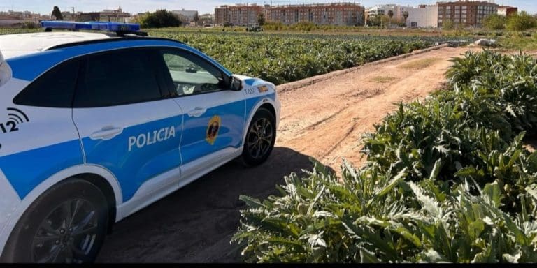 Controlan 342.650 kilos de productos agrícolas en 200 intervenciones en el campo en Valencia