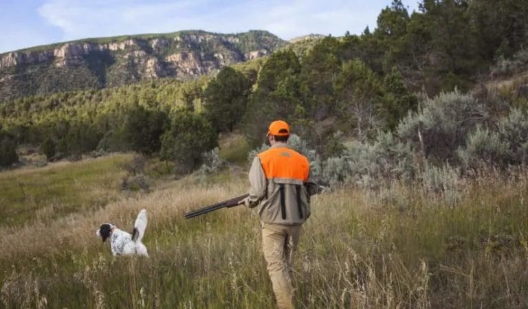 Estos son los períodos hábiles de caza para la temporada 2024-2025 en la Comunitat