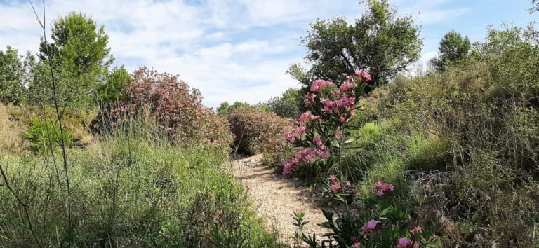 La Comisión Europea pide información sobre les Moles para estudiar ‘las sentencias que desprotegen’ el paraje