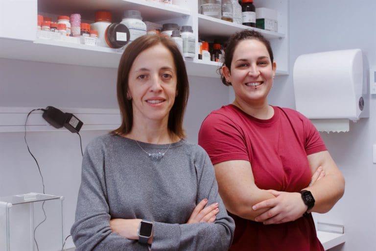 La Fe participa en un proyecto europeo sobre cómo reducir el impacto de disruptores endocrinos en embarazo y prepubertad