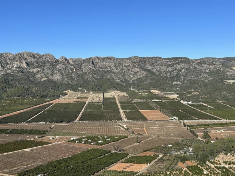 Agro Cycle life gestionará la Finca Hort de Sant Vicent, de Alzira y Benifairó