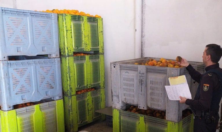 La Policía de la Generalitat activa la ‘Operación Horta’ para frenar el aumento de robos en el campo valenciano