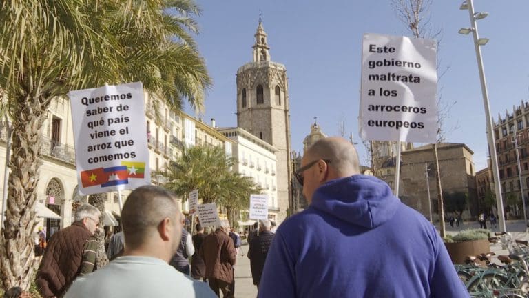 Arroceros valencianos exigen un correcto etiquetado del origen del arroz para evitar ‘engañar’ al consumidor