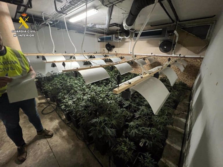 Desmantelan dos redes de narcotráfico que operaban en Alicante, Murcia y Valencia