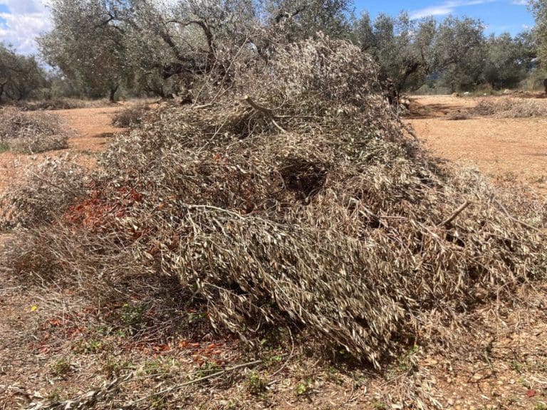 La Unió pide al Consell que permita quemas agrícolas a más de 100 metros de terrenos forestales cuando hay riesgo bajo