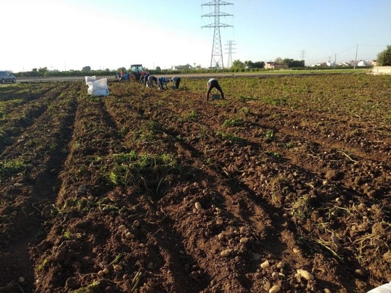 Agricultura retirará gratuitamente los productos fitosanitarios prohibidos, caducados o fuera de uso