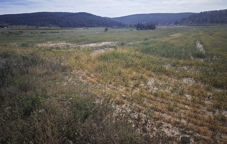 AVA-Asaja reclama ayudas directas a cultivos y ganaderías por la sequía