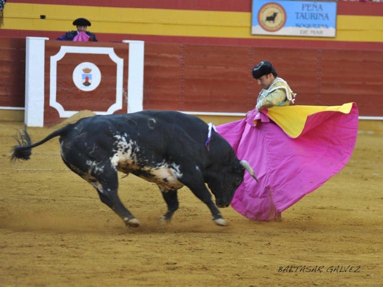La Comunitat Valenciana recuperará el Premio de Tauromaquia junto a otras CCAA ante la ‘censura’ del Ministerio