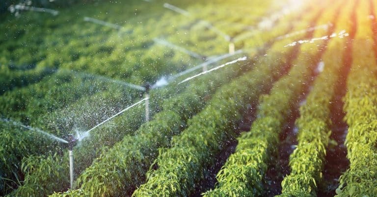 La Unió pide ayudas al Miteco para el regadío mientras no cumpla la sentencia del TS sobre la doble tarifa eléctrica