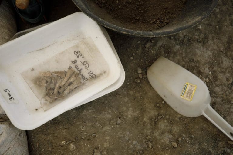 La Comunitat Valenciana recibirá 289.000 euros del Gobierno para exhumaciones y lugares de memoria