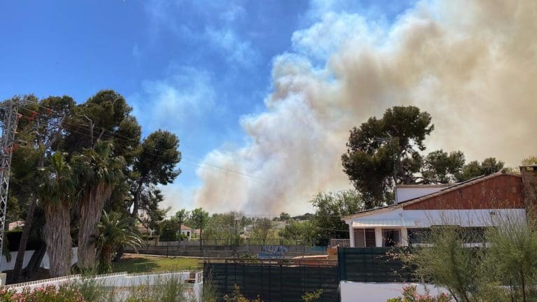 Riba-roja buscará captar fondos europeos para reforestar las zonas afectadas por los últimos incendios