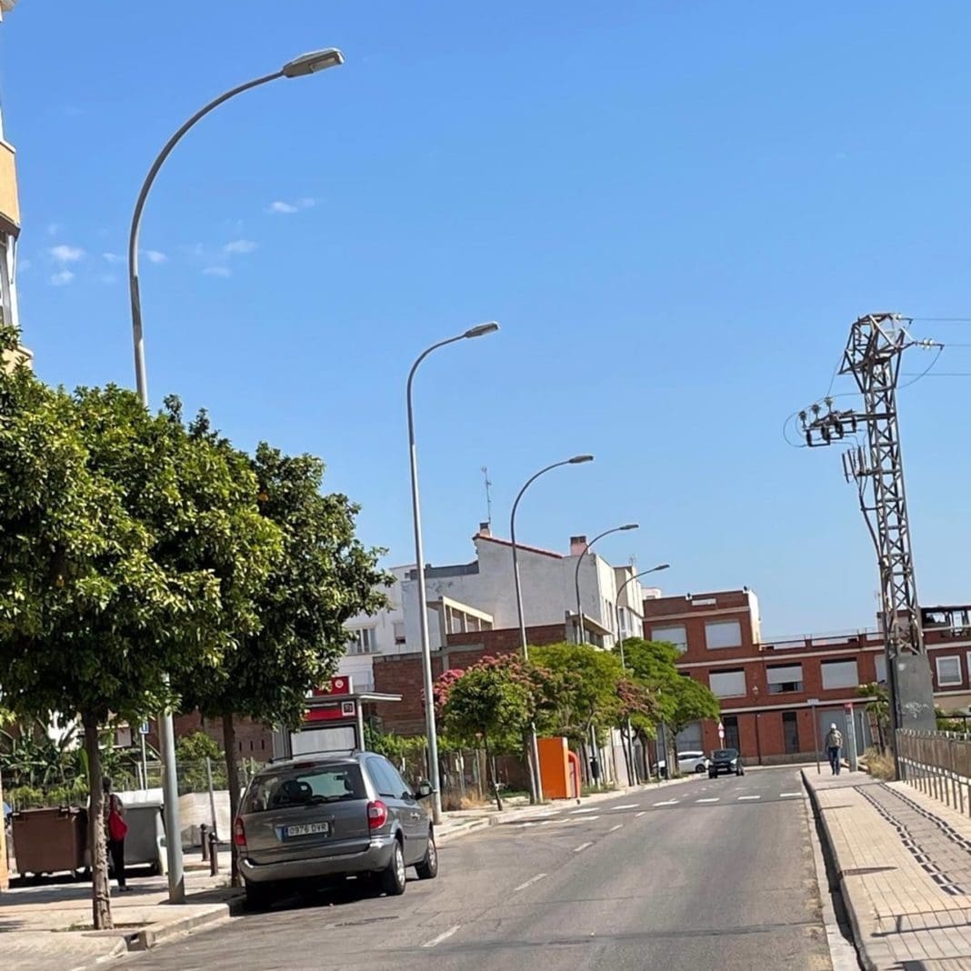 alumbrado en la Malva-rosa