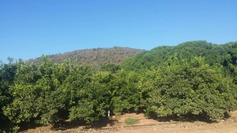 El TS ratifica que Riba-roja no tendrá que pagar los 25 millones por la anulación del PAI de Porxinos