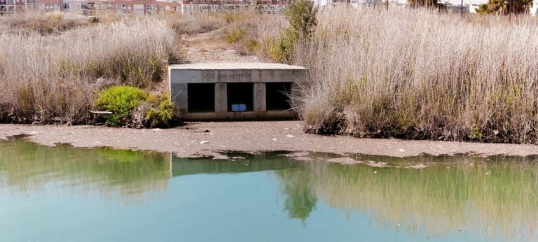 Vecinos de Natzaret denuncian nuevos episodios de contaminación en el final del cauce del Turia