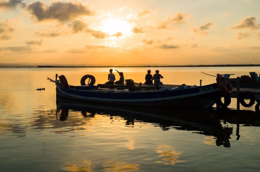 voluntariado l'albufera