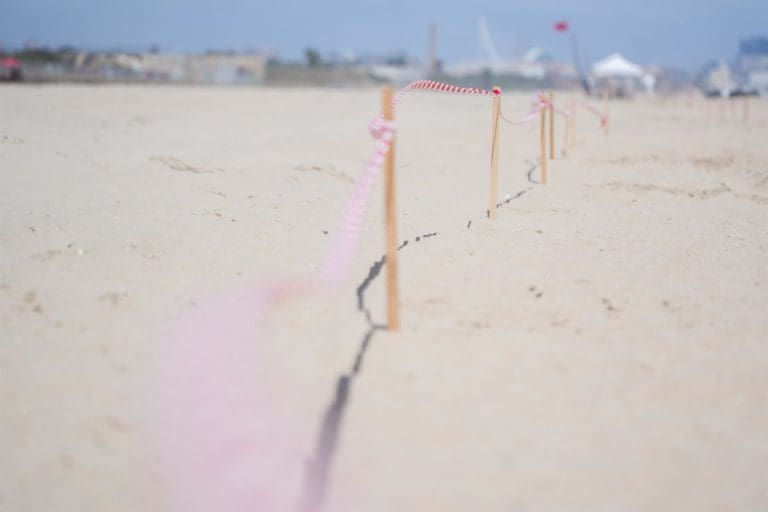 Fiscalía abre una investigación por el vertido en las playas del Saler