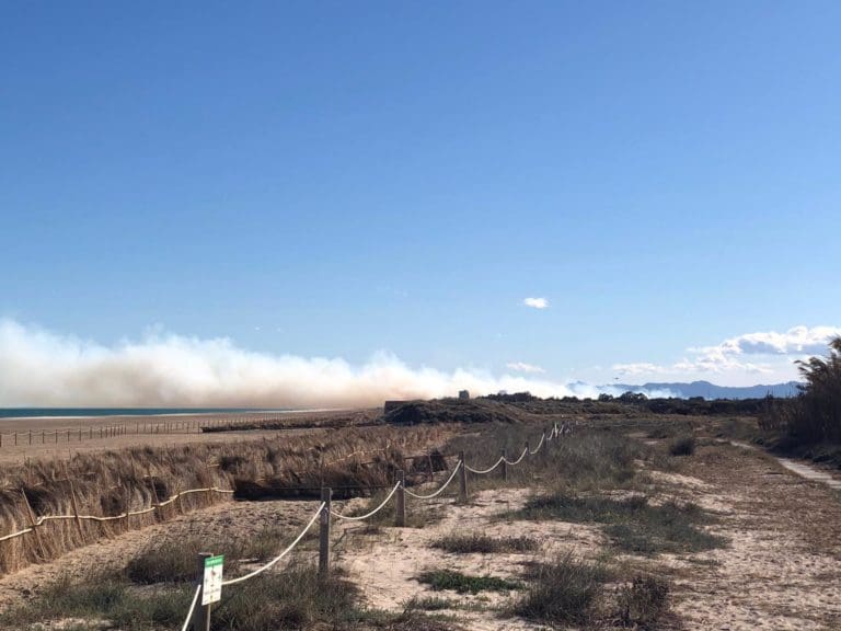 El juez atribuye ‘a nivel indiciario’ dos incendios al presunto pirómano de El Saler y archiva el resto