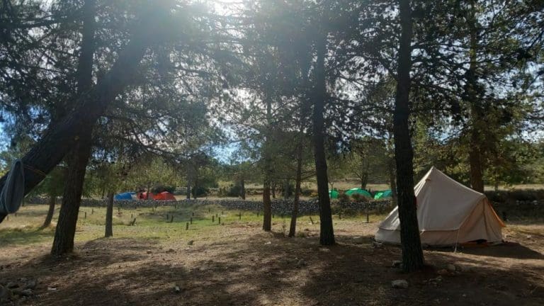 Cerca de 1.500 niños disfrutan de los campamentos de la Generalitat en entornos naturales en el periodo estival