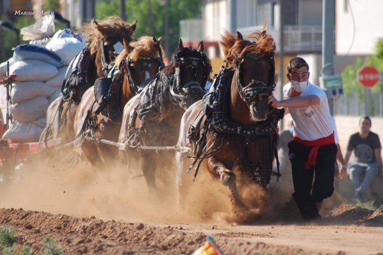 Animalistas piden suspender los concursos de tiro y arrastre con caballos en verano por motivos de bienestar animal